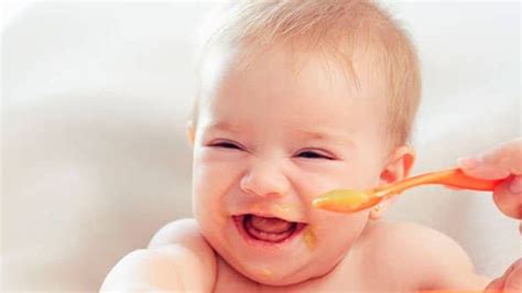 5 Aylık Bebek Ek Gıda Ne Yemeli?